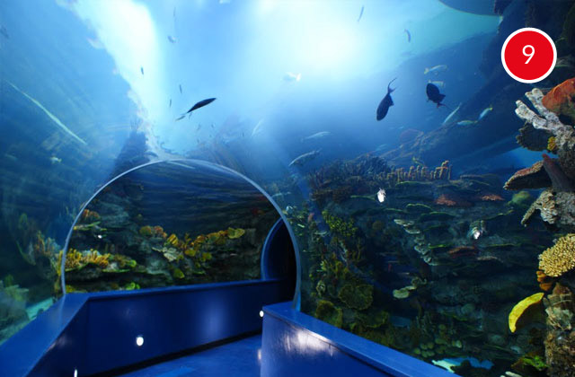 Sharjah Aquarium and Maritime Museum